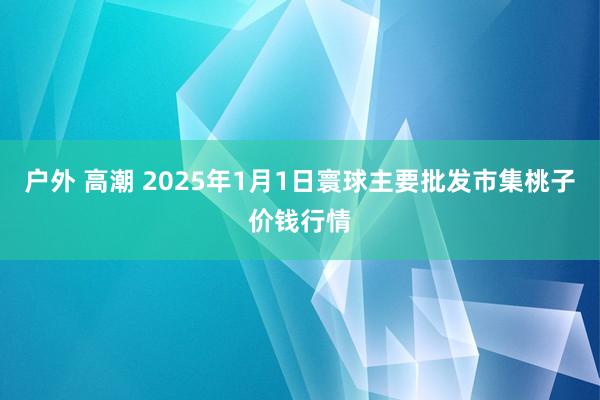 户外 高潮 2025年1月1日寰球主要批发市集桃子价钱行情