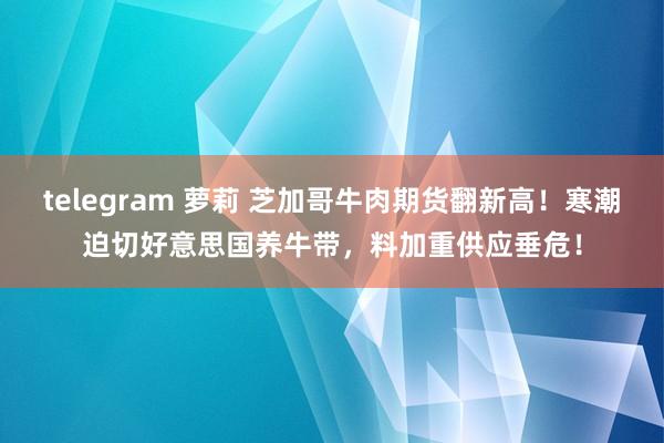 telegram 萝莉 芝加哥牛肉期货翻新高！寒潮迫切好意思国养牛带，料加重供应垂危！