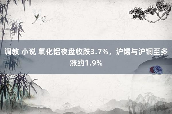 调教 小说 氧化铝夜盘收跌3.7%，沪锡与沪铜至多涨约1.9%