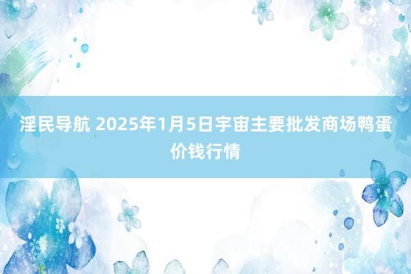 淫民导航 2025年1月5日宇宙主要批发商场鸭蛋价钱行情