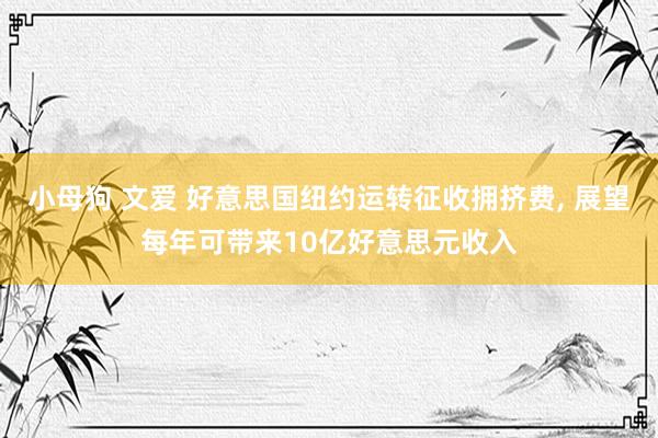 小母狗 文爱 好意思国纽约运转征收拥挤费， 展望每年可带来10亿好意思元收入