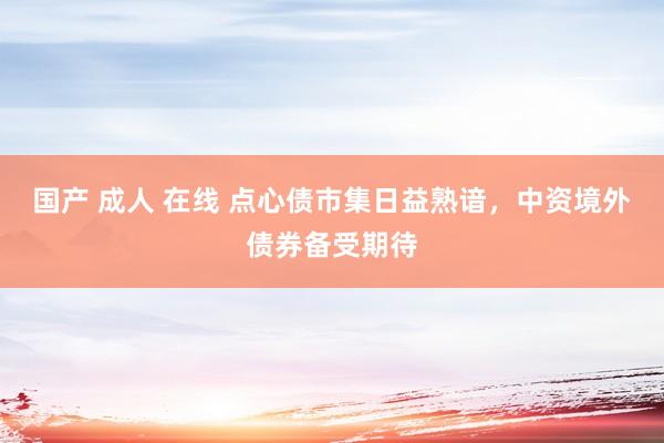 国产 成人 在线 点心债市集日益熟谙，中资境外债券备受期待