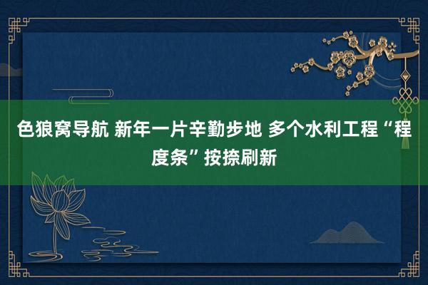 色狼窝导航 新年一片辛勤步地 多个水利工程“程度条”按捺刷新