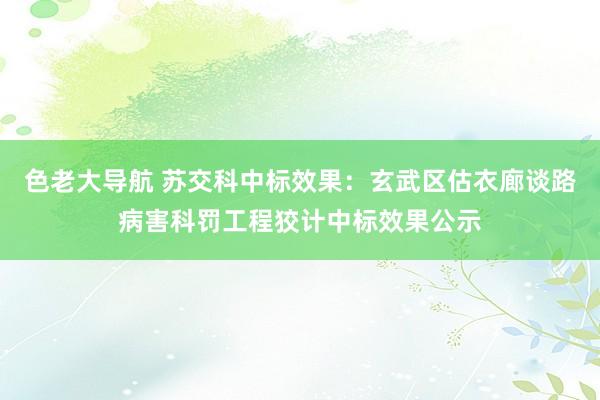 色老大导航 苏交科中标效果：玄武区估衣廊谈路病害科罚工程狡计中标效果公示