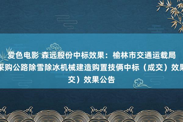 爱色电影 森远股份中标效果：榆林市交通运载局对于采购公路除雪除冰机械建造购置技俩中标（成交）效果公告