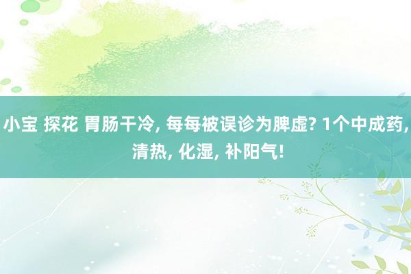 小宝 探花 胃肠干冷， 每每被误诊为脾虚? 1个中成药， 清热， 化湿， 补阳气!