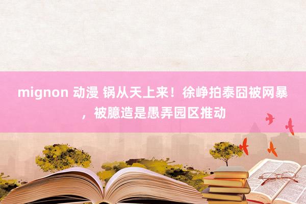 mignon 动漫 锅从天上来！徐峥拍泰囧被网暴，被臆造是愚弄园区推动