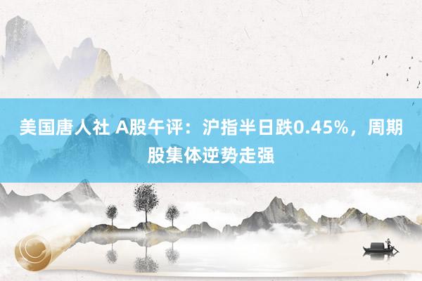 美国唐人社 A股午评：沪指半日跌0.45%，周期股集体逆势走强