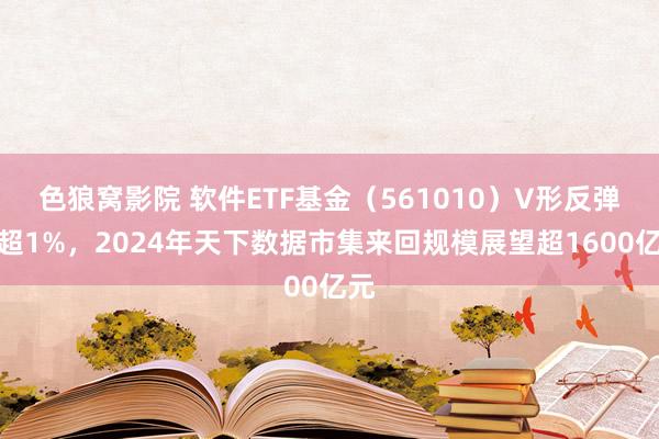 色狼窝影院 软件ETF基金（561010）V形反弹涨超1%，2024年天下数据市集来回规模展望超1600亿元