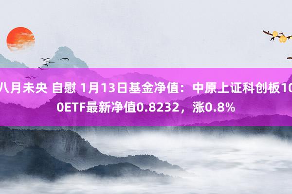 八月未央 自慰 1月13日基金净值：中原上证科创板100ETF最新净值0.8232，涨0.8%