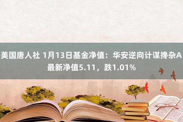 美国唐人社 1月13日基金净值：华安逆向计谋搀杂A最新净值5.11，跌1.01%