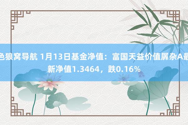 色狼窝导航 1月13日基金净值：富国天益价值羼杂A最新净值1.3464，跌0.16%