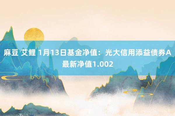 麻豆 艾鲤 1月13日基金净值：光大信用添益债券A最新净值1.002