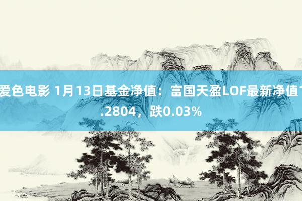 爱色电影 1月13日基金净值：富国天盈LOF最新净值1.2804，跌0.03%