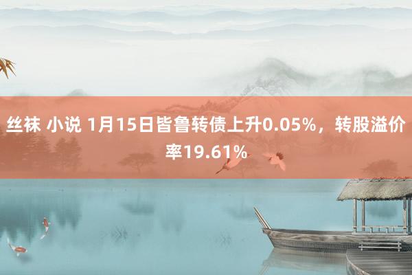 丝袜 小说 1月15日皆鲁转债上升0.05%，转股溢价率19.61%