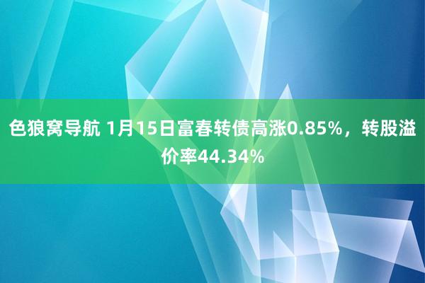 色狼窝导航 1月15日富春转债高涨0.85%，转股溢价率44.34%