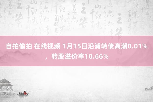 自拍偷拍 在线视频 1月15日沿浦转债高潮0.01%，转股溢价率10.66%