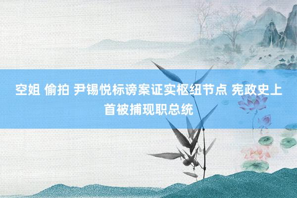 空姐 偷拍 尹锡悦标谤案证实枢纽节点 宪政史上首被捕现职总统