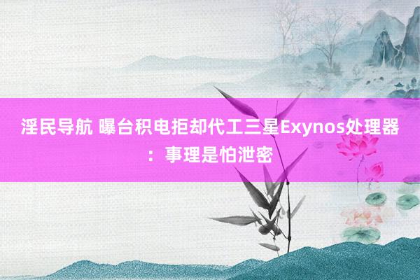 淫民导航 曝台积电拒却代工三星Exynos处理器：事理是怕泄密